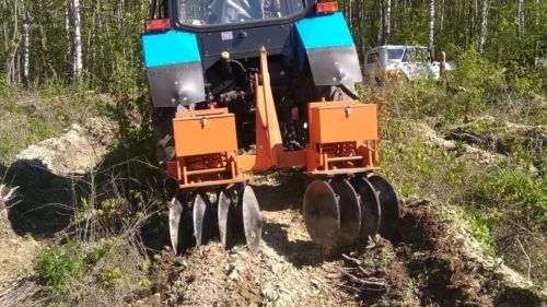 Татарстан ухаживает за молодыми лесами: обработано более 11 тысяч гектаров