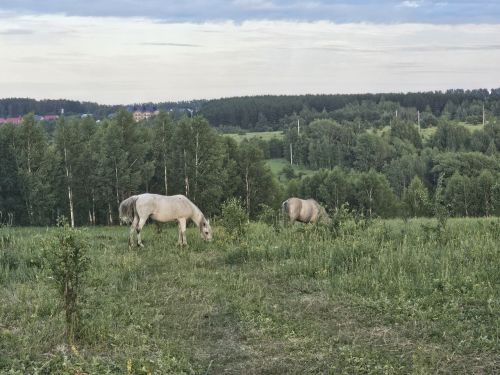 7 августа: приметы, праздники, события