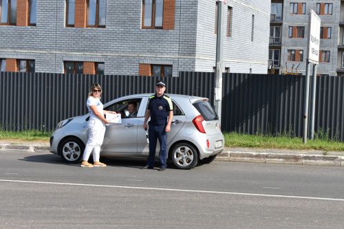 В Верхнем Услоне прошла акция «Ремень безопасности — защита жизни»