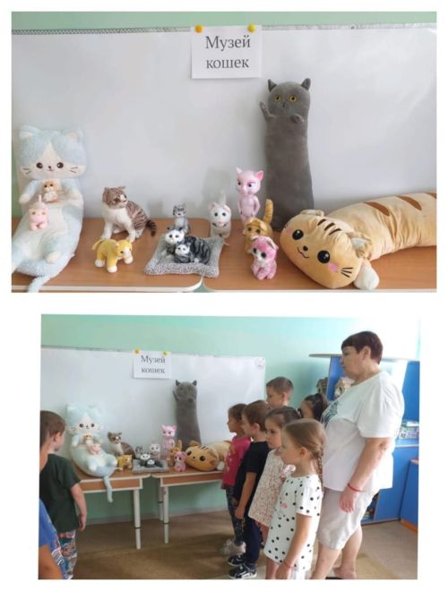 «Каенкай» балалары мәчеләрне яраталар