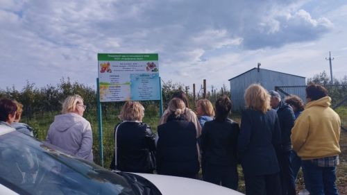 Семинар-совещание клубных работников прошел в Верхнеуслонском районе