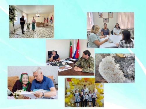 Топ-10 самых популярных постов в соцсетях «Волжской нови»