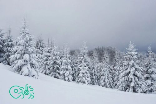 Границы 73 охотничьих хозяйств Татарстана внесены в ЕГРН