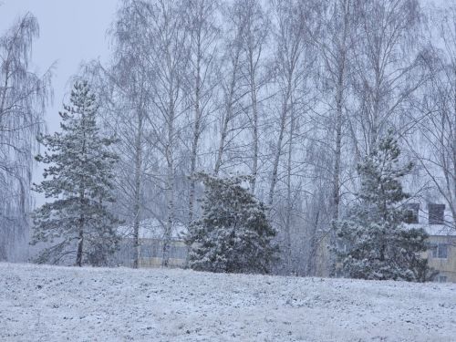 Какой будет погода в Верхнеуслонском районе 18 января 2026 года