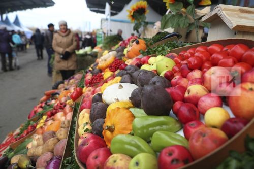 На сельхозярмарках Татарстана в 2025 году продали продукции на 2 миллиарда
