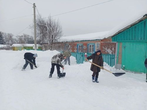 Школьники в Татарско-Бурнашевской школы расчистили дворы для пожилых