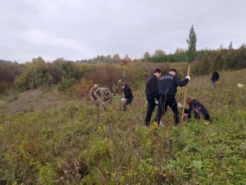 Кураловские школьники благоустроили родник и высадили 23 дерева