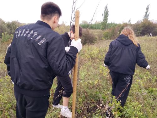 Кураловские школьники благоустроили родник и высадили 23 дерева