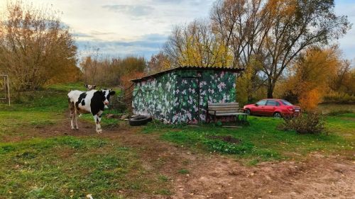 В районе прошли рейды по соблюдению правил благоустройства