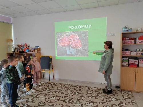 Балалар гөмбәләрнең төрләре белән таныштылар
