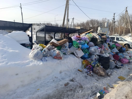 Мусорный коллапс в Верхнеуслонском районе: регоператор подвел