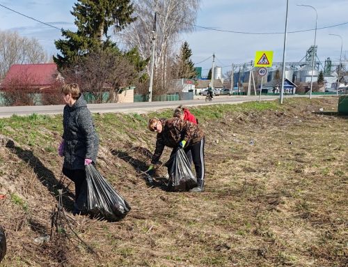 Весна идёт, порядок наводит: продолжается двухмесячник в Верхнеуслонском районе