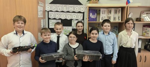 Ученики Печищинской школы посадили огород на окне