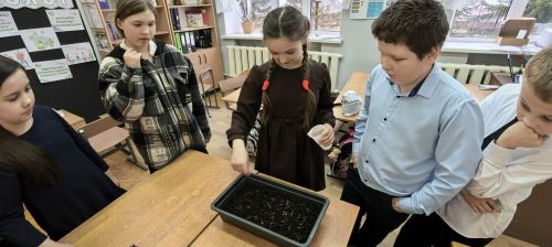 Ученики Печищинской школы посадили огород на окне
