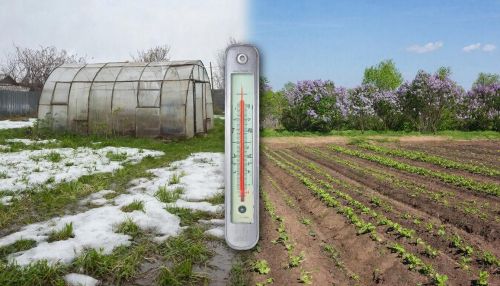 Жара и заморозки в мае: Татарстан ждут погодные качели?