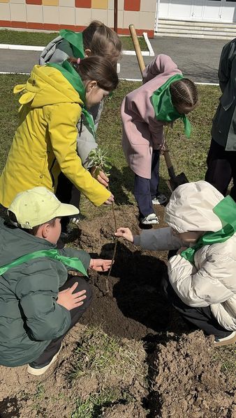 Второклассники Верхнеуслонской гимназии посадили яблони в рамках экомарафона