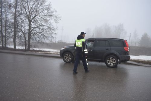 В Верхнем Услоне провели рейды и акции по безопасности детей в автомобилях