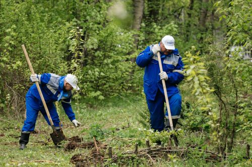 Волонтеры «Транснефть – Прикамье» благоустроили территорию экоцентра