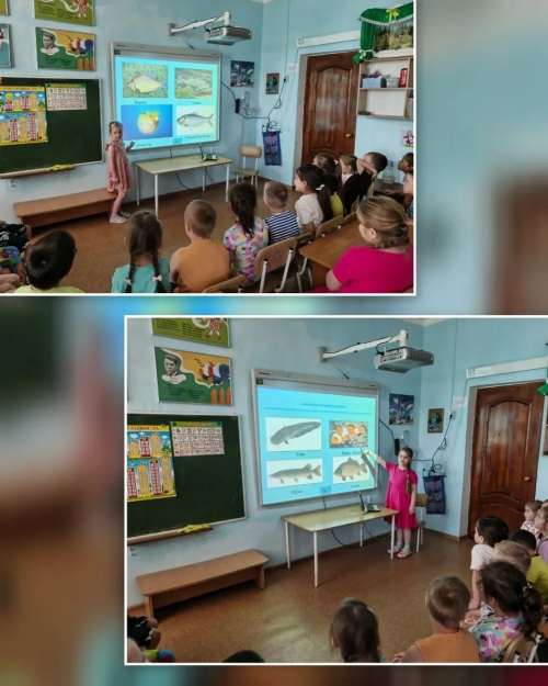 «Каенкай»да Идел көне үтте