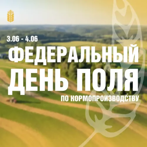 Федеральный День поля по кормопроизводству пройдёт в Мензелинском районе