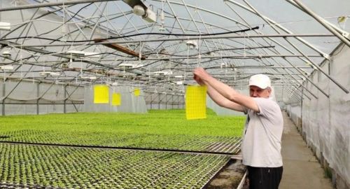 В Татарстане проверили фитосанитарное состояние хранилищ зерна