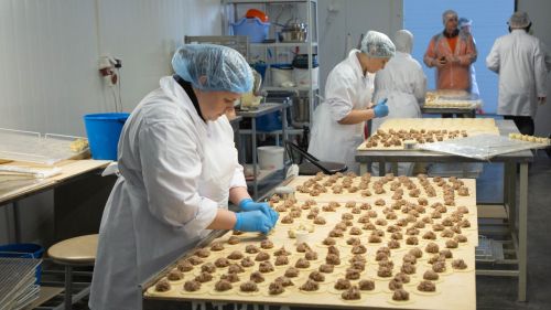 Минсельхозпрод РТ объявил конкурс на гранты для сельхозкооперативов