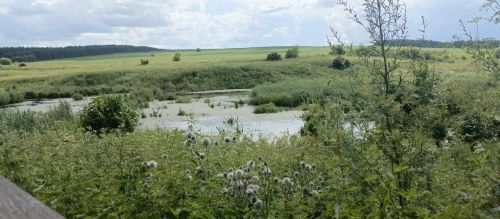 Кильдеевские дети посетили родник и узнали его историю