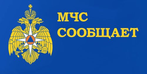 В Верхнеуслонском районе гидроцикл сбил женщину на пирсе