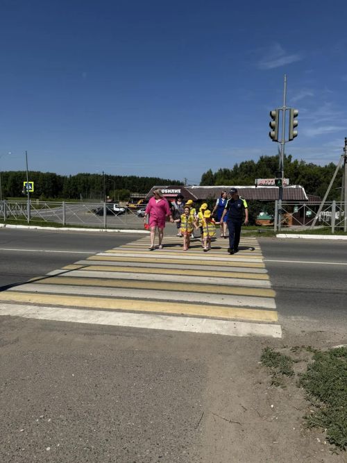 В Верхнем Услоне провели акцию «Безопасный переход» для водителей и дошколят