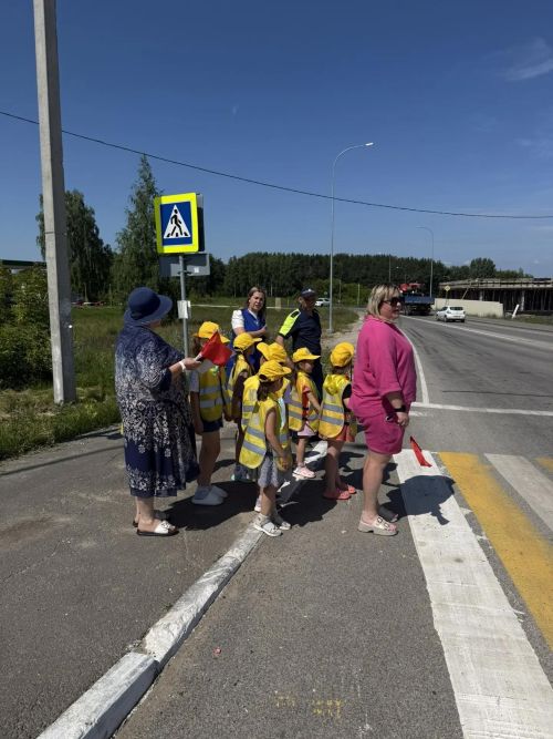 В Верхнем Услоне провели акцию «Безопасный переход» для водителей и дошколят