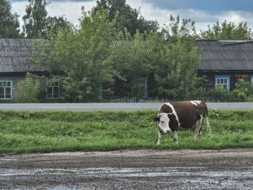 Осадки не ожидаются, а столбики термометров поднимутся до +18