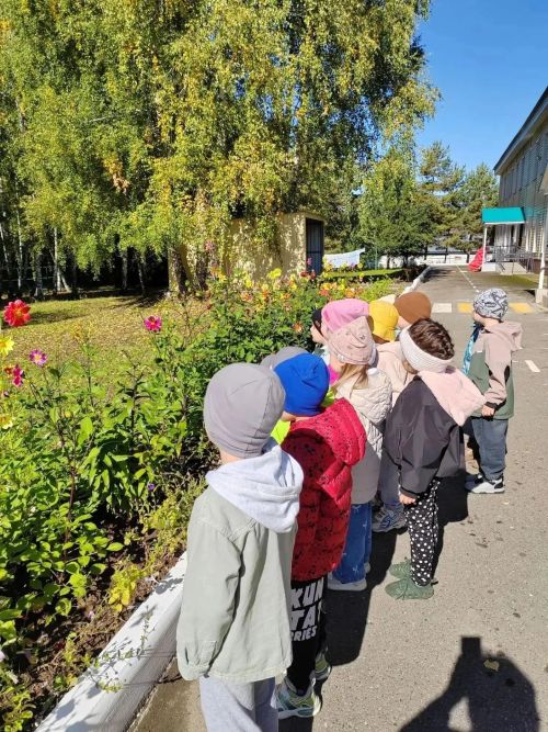 Балалар көзге урманга сәяхәт кылдылар