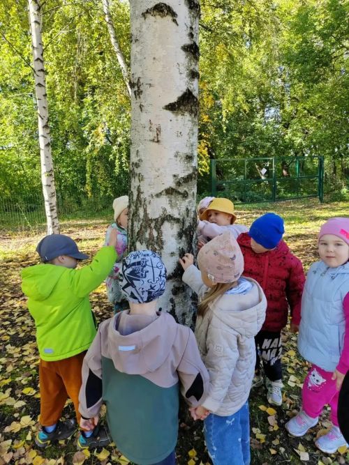 Балалар көзге урманга сәяхәт кылдылар