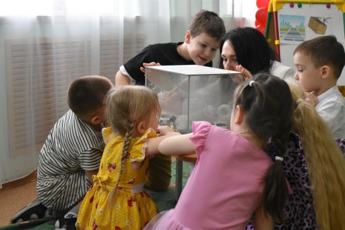 В Верхнем Услоне прошел конкурс "Зеленый огонек"
