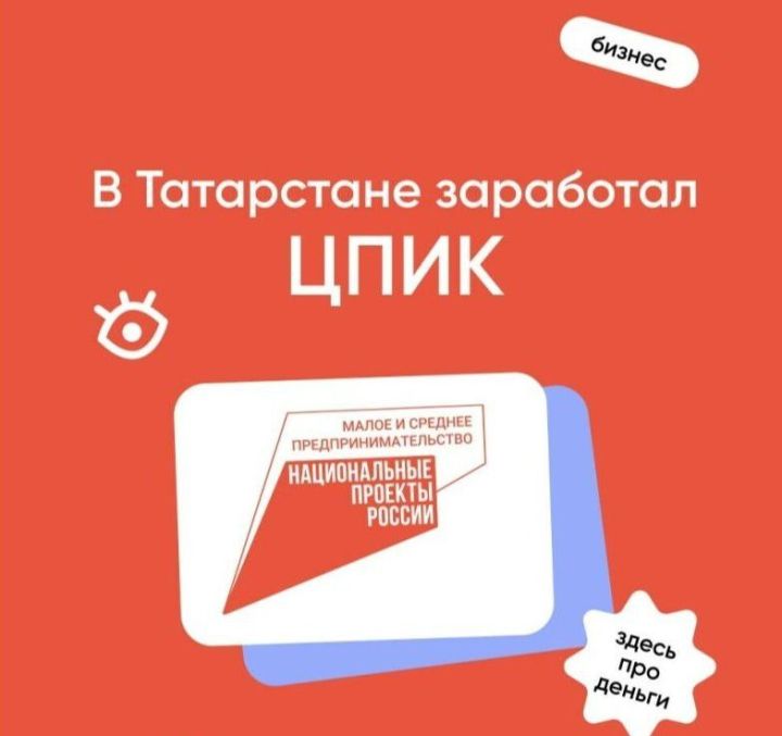 В Татарстане по национальному проекту запустили новый сервис для предпринимателей