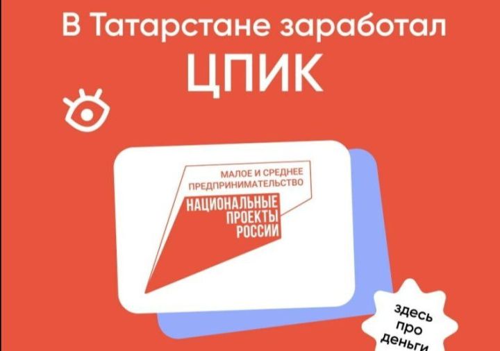 В Татарстане по национальному проекту запустили новый сервис для предпринимателей