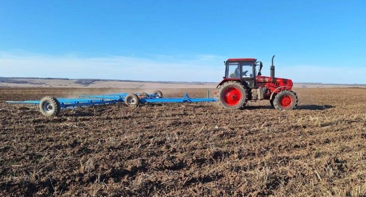 Народные приметы на 10 мая 2025 года: что нельзя делать в этот день