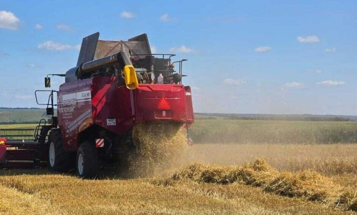 В Верхнеуслонском районе подвели итоги уборочной кампании