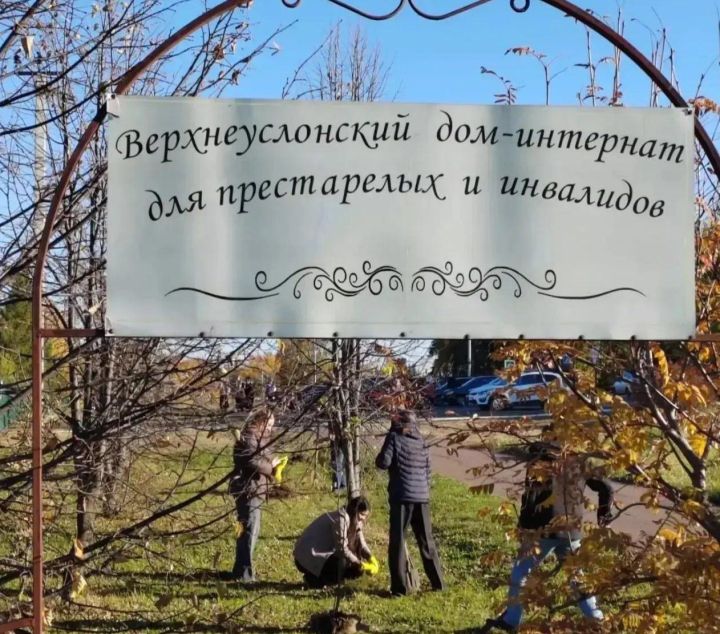 Интернат-йортта юкә агачлары үсәчәк