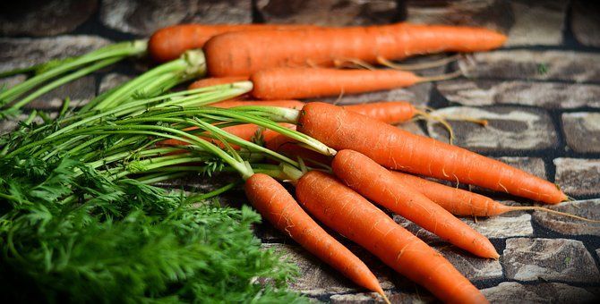Что сделать, чтобы урожай моркови вас удивил