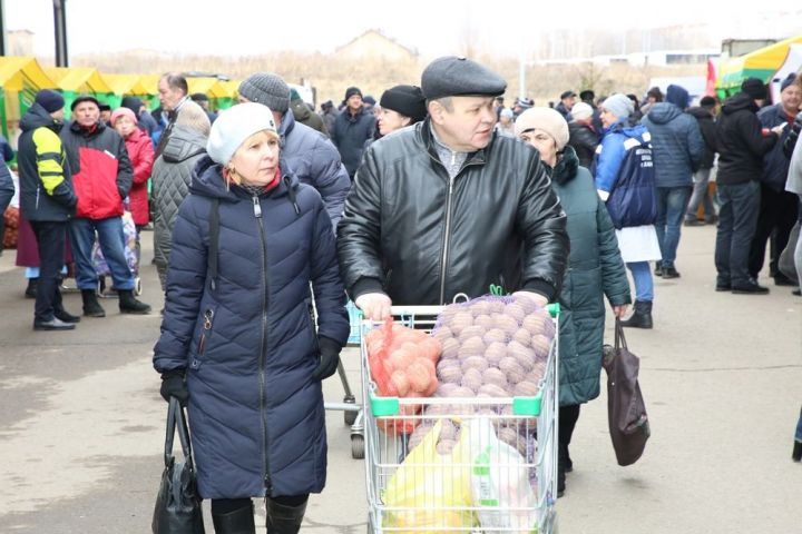 В Татарстане отменены сельскохозяйственные ярмарки, а в Верхнем Услоне – рынок в среду