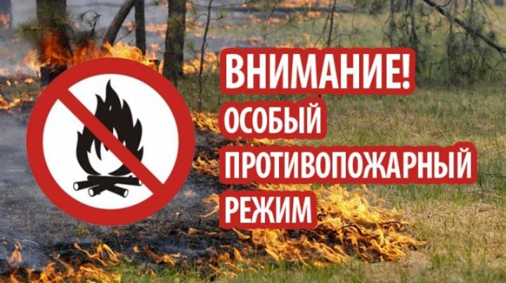 С 10 апреля по 17 мая в Татарстане объявлен особый противопожарный режим