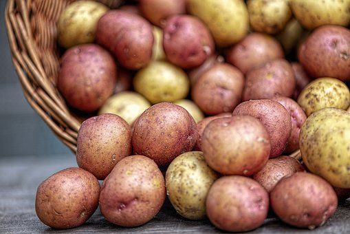 Как надолго сохранить картофель: 10 самых важных правил