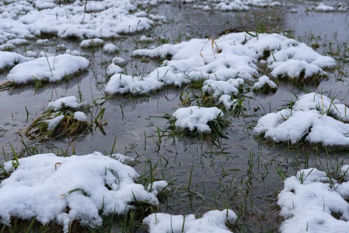 На выходных дожди с мокрым снегом и сильный ветер обрушатся на Татарстан