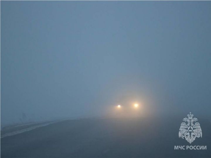 Синоптики предупредили об ухудшении видимости на дорогах Татарстана