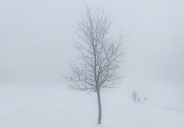 МЧС сообщает, туманная погода в Татарстане продержится до понедельника