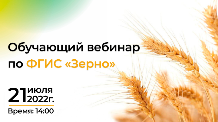 Сельхозпроизводители Татарстана станут участниками обучающего вебинара по ФГИС «Зерно»