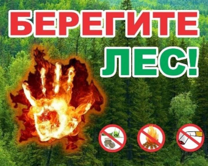 В Татарстане продлили штормовое предупреждение из-за высокой пожароопасности лесов