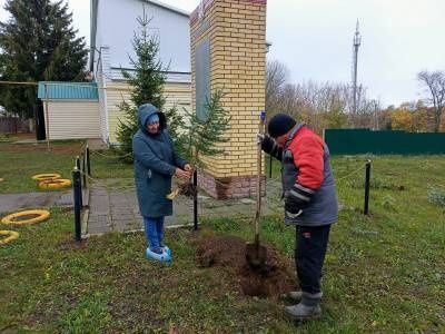 В Вахитове поддержали акцию «Единый день посадки леса»