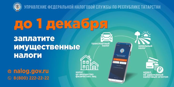 До 1 декабря жители Татарстана должны оплатить более 9 млрд рублей по налогам